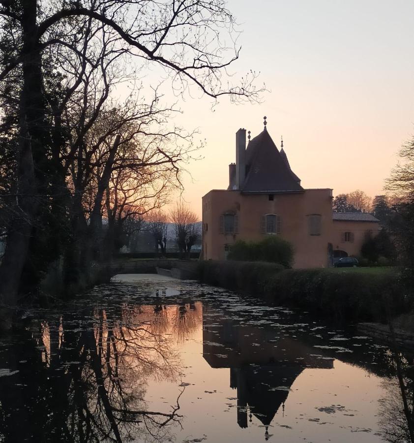 Chateau De La Venerie Denice Екстер'єр фото