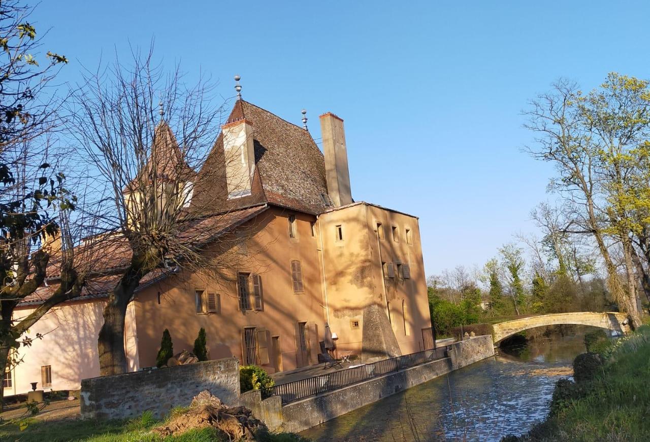 Chateau De La Venerie Denice Екстер'єр фото