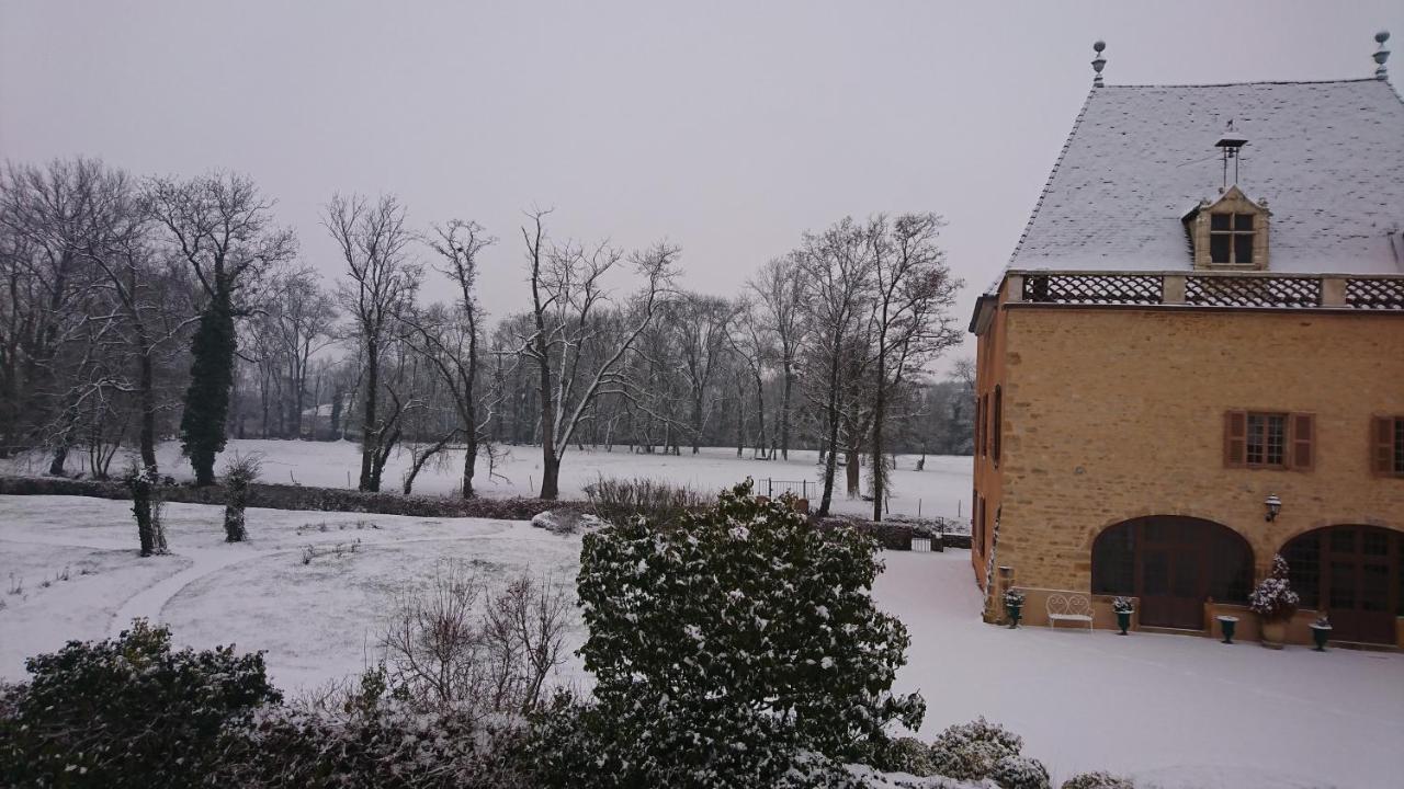 Chateau De La Venerie Denice Екстер'єр фото